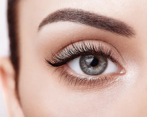 Classic Lash Full Set